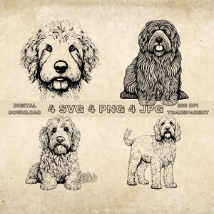 Labradoodle SVG Bundle, PNG, Hunde Clipart, handgezeichnete Hund Vektor Illustration, SVG-Dateien für die Lasergravur
