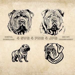 Shar Pei SVG Bundle, PNG, Hunde Clipart, handgezeichnete Hund Vektor Illustration, SVG-Dateien für die Lasergravur