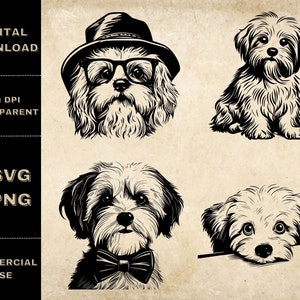 Maltese SVG Bundle, PNG, Cute Dog Clipart, Hand Drawn Peeking Dog Vector Illustration, SVG Files For Laser Engraving