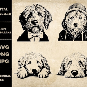 Labradoodle SVG Bundle, PNG, Clipart de chien mignon, Illustration vectorielle de chien Peeking dessiné à la main, fichiers SVG pour la gravure au laser