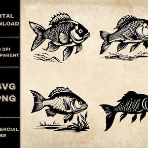 Carp SVG Bundle, PNG, Fish Clipart, Hand Drawn Fishing Vector Illustration, SVG Files For Laser Engraving