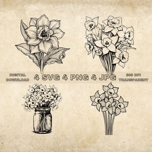 May include: Four black and white line drawings of daffodils. One drawing shows a single daffodil, while the other three show bouquets of daffodils. One bouquet is in a mason jar.