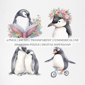 Cute Penguin Clipart, Penguin PNG Files For Sublimation, Penguins Clip Art, Penguin Prints, Printable Wall Art, Commercial Use