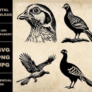 Pheasant SVG Bundle, PNG, Pheasant Clipart, Hand Drawn Pheasant Vector Illustration, SVG Files For Laser Engraving