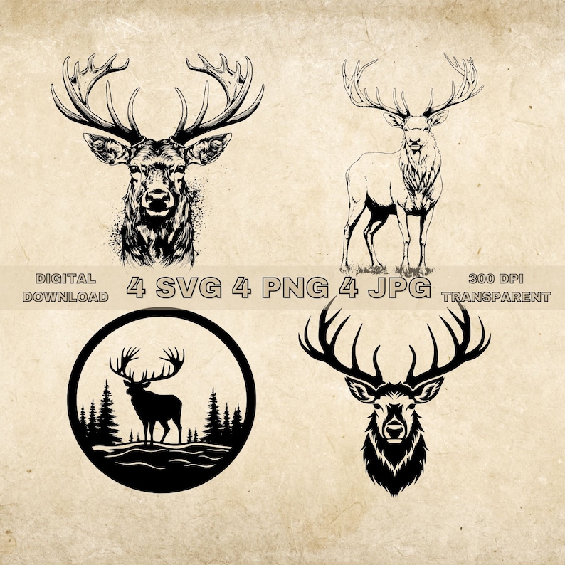 Elk Rack Svg Elk SVG Bundle, PNG, Elk Clipart, Hand Drawn Elks Vector Illustration ...