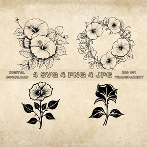 Morning Glory SVG Bundle, PNG, Floral Clipart, Hand Drawn Flowers Graphic Illustration, SVG Files For Laser Engraving