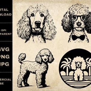 Poodle SVG Bundle, PNG, Cute Dogs Clipart, Hand Drawn Poodle Vector Illustration, SVG Files For Laser Engraving