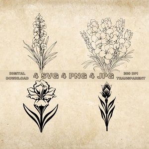 Gladiolus SVG Bundle, PNG, Floral Clipart, Hand Drawn Flowers Graphic Illustration, SVG Files For Laser Engraving