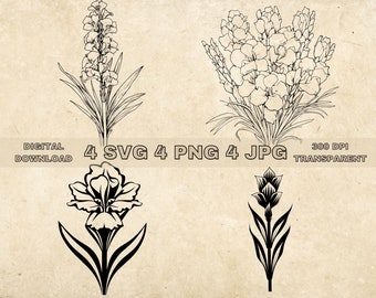 Gladiolus SVG Bundle, PNG, Floral Clipart, Hand Drawn Flowers Graphic Illustration, SVG Files For Laser Engraving