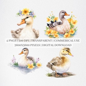 Cute Duck Clipart, Duck PNG Files For Sublimation, Ducks Clip Art, Duck Prints, Printable Wall Art, Commercial Use