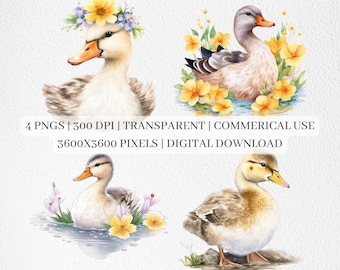 Cute Duck Clipart, Duck PNG-bestanden voor sublimatie, Ducks Clip Art, Duck Prints, Printable Wall Art, Commercieel gebruik