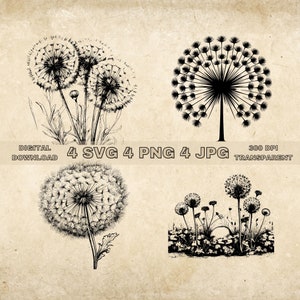 Dandelion Flower Svg, PNG, Floral Clip Art, Dandelion Clipart Bundle Svg For Tumber And Sublimation, Hand Drawn Wildflower Art