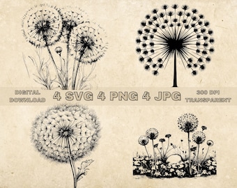 Dandelion Flower Svg, PNG, Floral Clip Art, Dandelion Clipart Bundle Svg For Tumber And Sublimation, Hand Drawn Wildflower Art