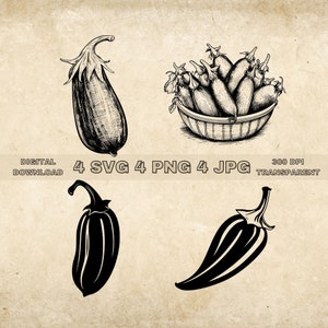 Eggplant SVG Bundle, PNG, Eggplant Clipart, Hand Drawn Eggplants Vector Illustration, SVG Files For Laser Engraving