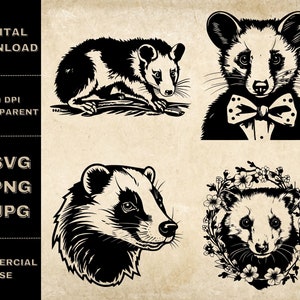 Pacote SVG de gambá, PNG, clipart de animal da floresta, ilustração de gambá desenhada à mão, arquivos SVG para gravação a laser