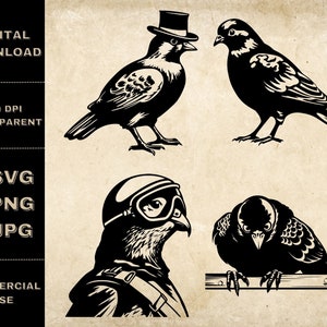 Pacote SVG de pombo, PNG, clipart engraçado de pombo, ilustração vetorial de pombos desenhados à mão, arquivos SVG para gravação a laser