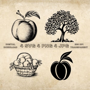 Peach Fruit SVG Bundle, PNG, Peach Tree Clipart, Hand Drawn Peaches Vector Illustration, SVG Files For Laser Engraving