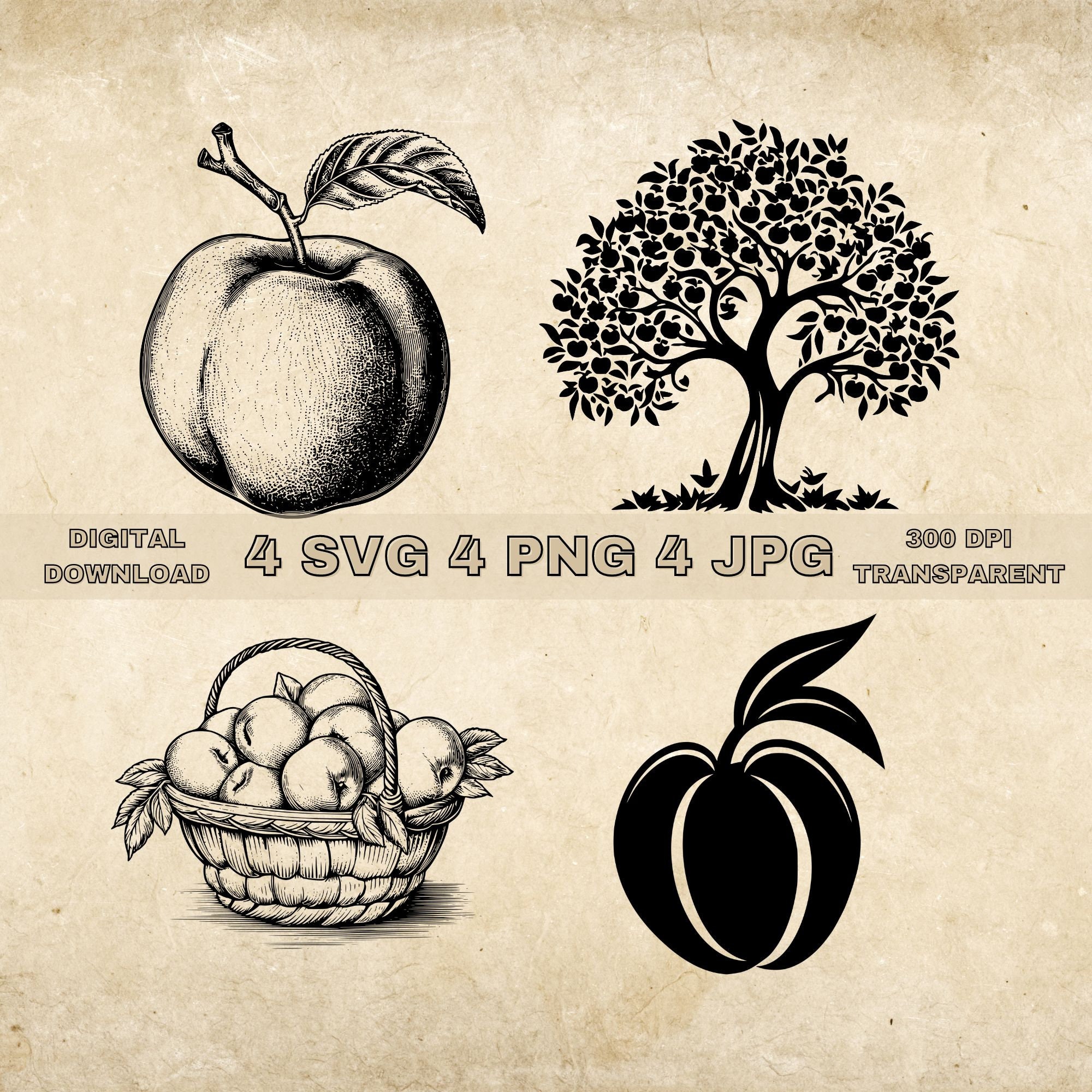 Peach Fruit SVG Bundle, PNG, Peach Tree Clipart, Hand Drawn