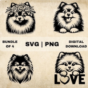Pomeranian Bundle, Pomeranian Clipart, Hand Drawn Dog Theme Vector Illustration, SVG Files For Laser Engraving & Craft