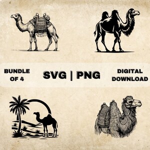 Camel SVG Bundle, Camel Clipart, Hand Drawn Desert Animal Theme Vector Illustration, PNG Files For Laser Engraving & Craft