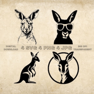 May include: A digital download set of four SVG, four PNG, and four JPG files featuring a black and white illustration of a kangaroo. The kangaroo is depicted in various poses, including a close-up of its head, a full-body image, and a head-and-shoulders image with sunglasses. The text "DIGITAL DOWNLOAD 4 SVG 4 PNG 4 JPG 300 DPI TRANSPARENT" is included in the image.