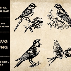 Hirondelle SVG Bundle, PNG, Floral Bird Clipart, Illustration vectorielle d’hirondelle dessinée à la main, fichiers SVG pour la gravure laser