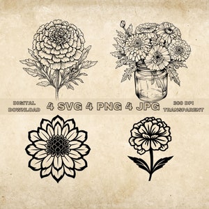 Marigold SVG Bundle, PNG, Floral Clipart, Hand Drawn Flowers Graphic Illustration, SVG Files For Laser Engraving