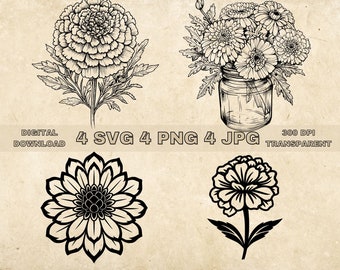 Marigold SVG Bundle, PNG, Floral Clipart, Hand Drawn Flowers Graphic Illustration, SVG Files For Laser Engraving
