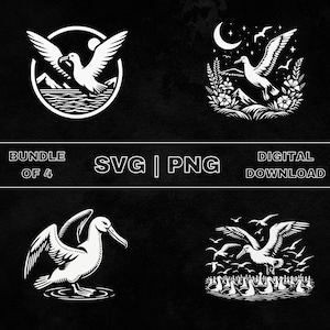 Albatross SVG Bundle, Albatross Bird Clipart, Hand Drawn Albatross Lover Theme Vector Illustration, PNG Files For Laser Engraving & Craft