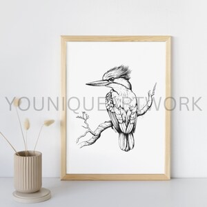 Kingfisher SVG Bundle, PNG, Birds Clipart, Hand Drawn Bird Vector ...