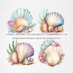 Seashell Clipart, Sea Shell PNG Files For Sublimation, Seashell Clip Art, Sea Shells Prints, Printable Wall Art, Commercial Use