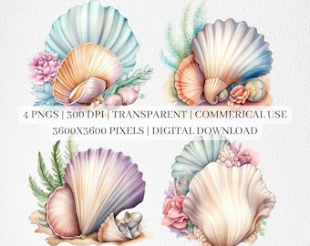 Seashell Clipart, Sea Shell PNG-bestanden voor sublimatie, Seashell Clip Art, Sea Shells Prints, Printable Wall Art, Commercieel Gebruik