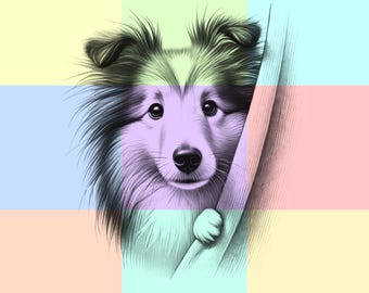 Shetland Sheepdog Peeking PNG Sublimacja Plik Do Koszulki I Kubka Rysunek Szkicowy Graficzny Cyfrowy Pobieranie