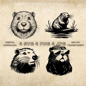 Beaver SVG Bundle, PNG, Beaver Clipart, Hand Drawn Beaver Vector Illustration, SVG Files For Laser Engraving