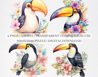 Toucan Clipart, Colorful Birds PNG Files For Sublimation, Floral Toucans Clip Art, Nursery Bird Prints, Printable Wall Art, Commercial Use