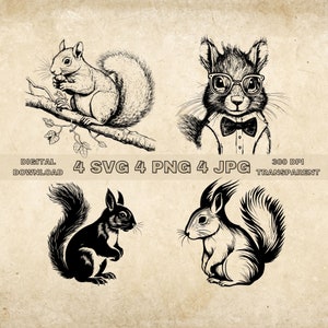 Bundle SVG écureuil, PNG, mignon écureuil Clipart, Illustration vectorielle Animal Woodland dessiné à la main, fichiers SVG pour la gravure au Laser