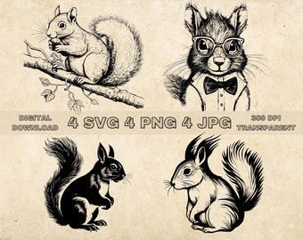 Eekhoorn SVG Bundel, PNG, Leuke Eekhoorn Clipart, Handgetekende Woodland Animal Vector Illustratie, SVG-bestanden voor lasergravure