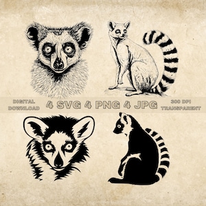 Lemur SVG Bundle, PNG, Lemur Clipart, Hand Drawn Lemur Vector Illustration, SVG Files For Laser Engraving