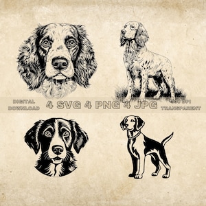 Brittany Spaniel SVG Bundle, PNG, Dogs Clipart, Hand Drawn Dog Vector Illustration, SVG Files For Laser Engraving