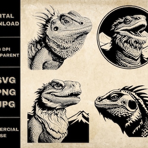 Bearded Dragon SVG Bundle, PNG, Lizard Clipart, Hand Drawn Reptile Vector Illustration, SVG Files For Laser Engraving