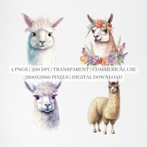 Floral Llama Clipart, Llama PNG Files For Sublimation, Llama Clip Art, Nursery Animal Prints, Printable Wall Art, Commercial Use