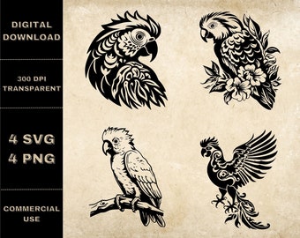 Cockatoo SVG Bundle, PNG, Tropical Bird Clipart, Hand Drawn Exotic Birds Vector Illustration, SVG Files For Laser Engraving