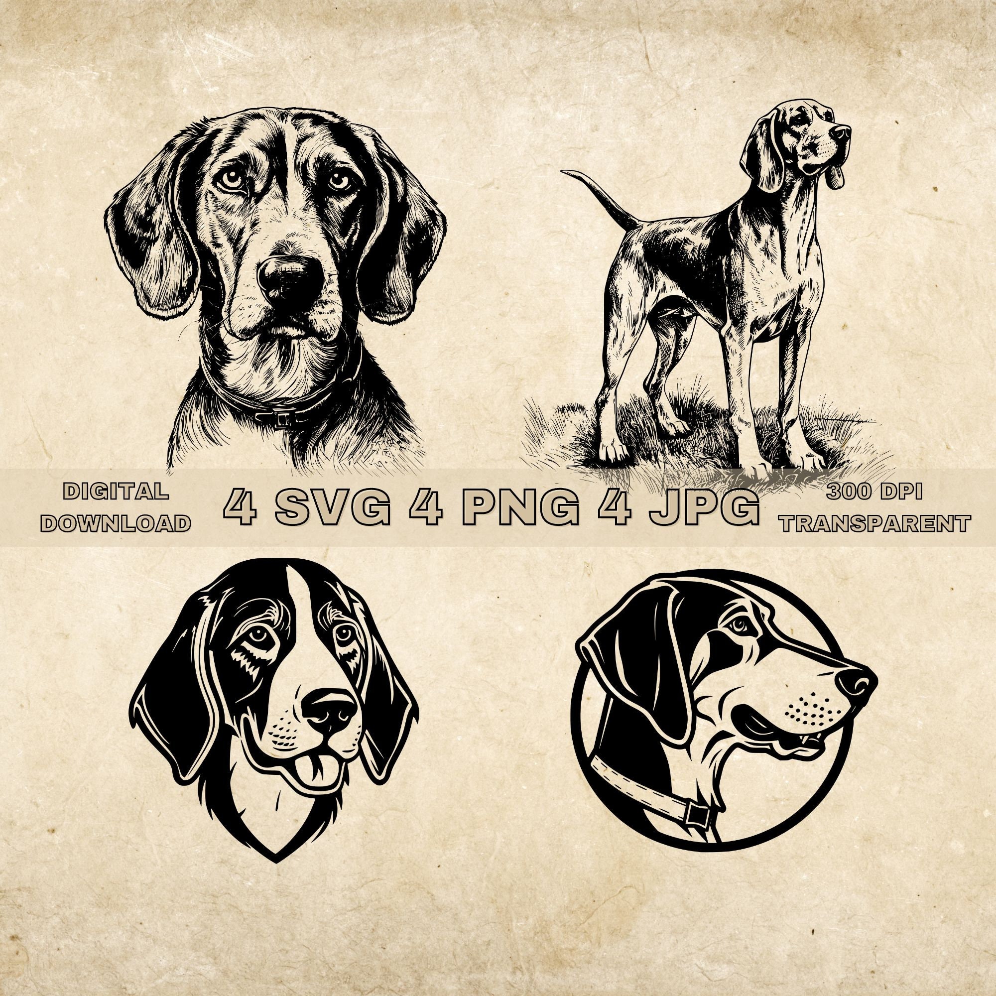 American Foxhound SVG Bundle, PNG, Dogs Clipart, Hand Drawn Dog