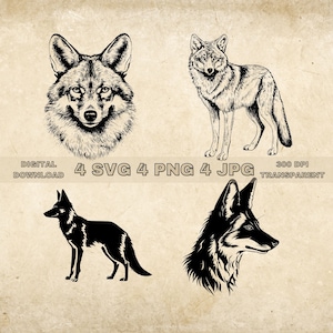 Coyote SVG Bundle, PNG, Coyote Clipart, Hand Drawn Coyotes Vector Illustration, SVG Files For Laser Engraving