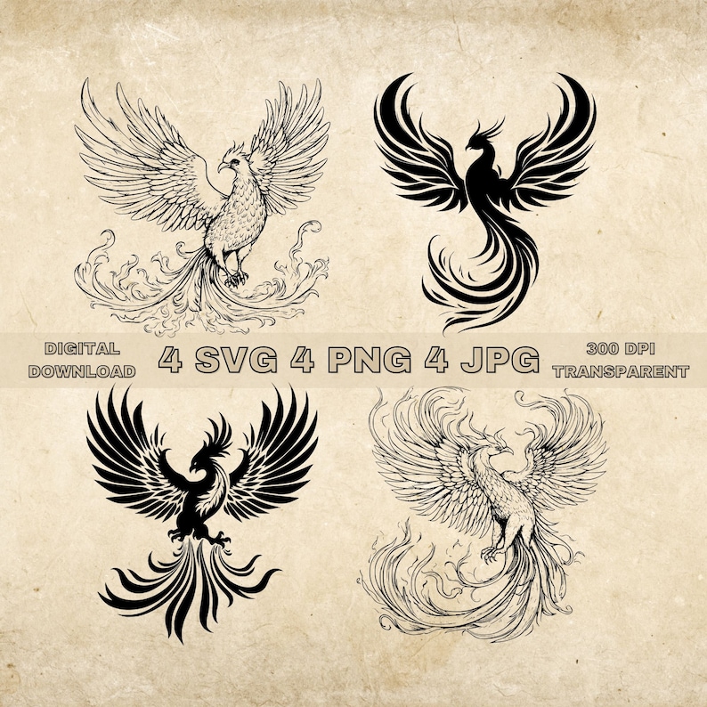 Phoenix SVG Bundle, PNG, Phoenix Clipart, Hand Drawn Phoenix Vector