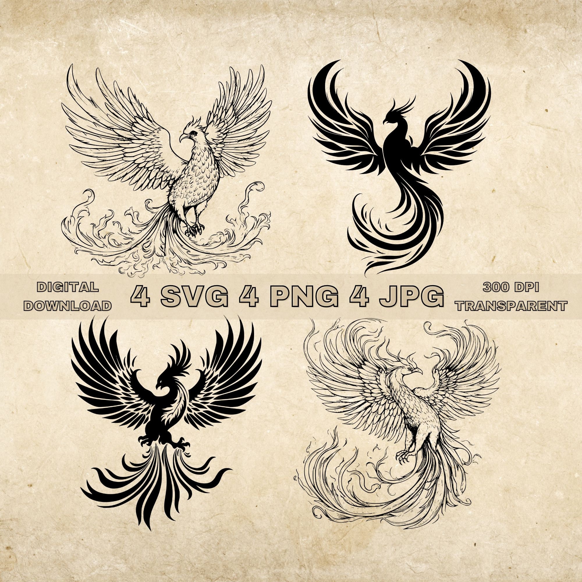 Phoenix Design Basic Phoenix SVG Bundle, PNG, Phoenix Clipart, Hand Drawn Phoenix Vector ...