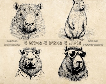 Capybara SVG Bundle, PNG, Capybara Clipart, Hand Drawn Capybaras Vector Illustration, SVG Files For Laser Engraving