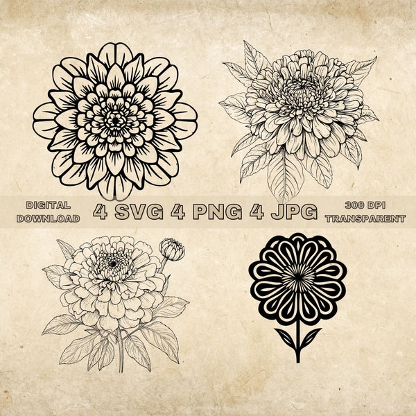 Zinnia SVG Bundle, PNG, Floral Clipart, Hand Drawn Flowers Graphic Illustration, SVG Files For Laser Engraving
