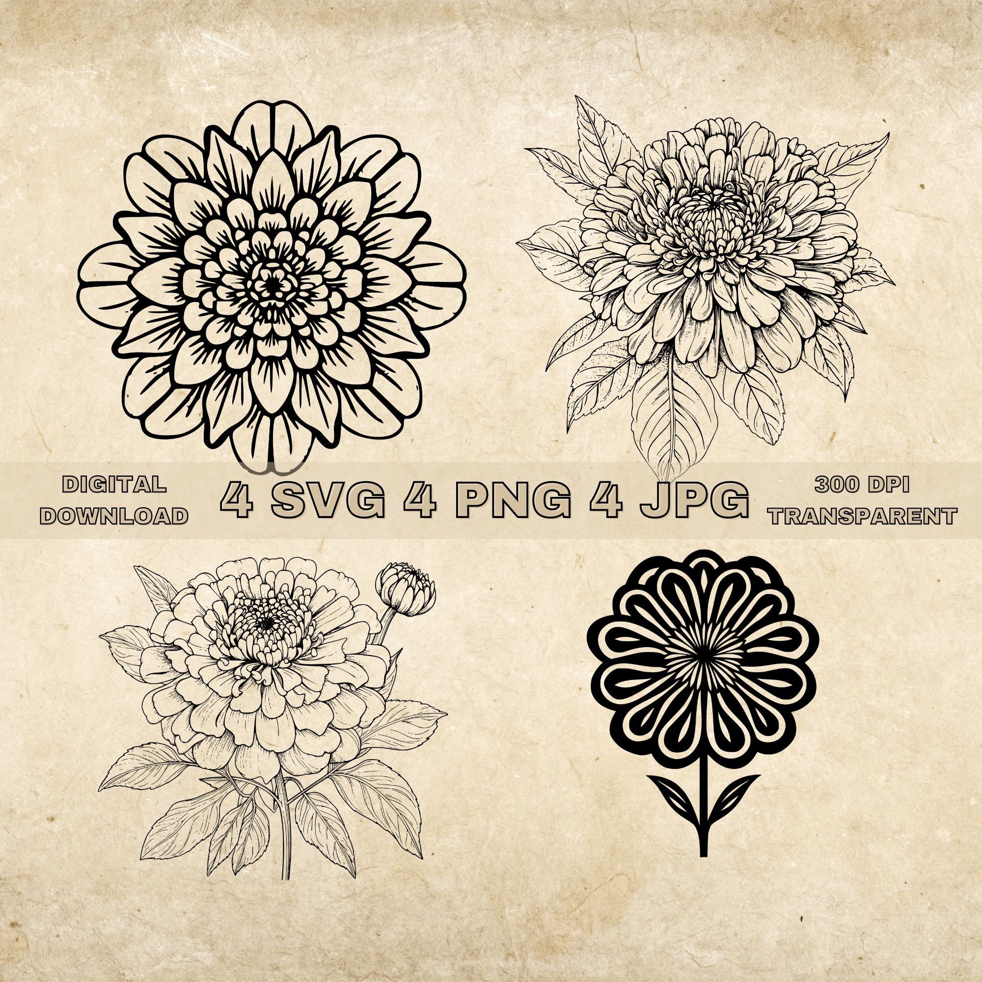 Zinnia Tattoo Designs