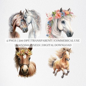 Floral Horse Clipart, Horse PNG Files For Sublimation, Horses Clip Art, Horse With Flowers Prints, Printable Wall Art, Commercial Use